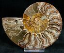 Polished Ammonite Pair With Crystal Pockets #11792-3